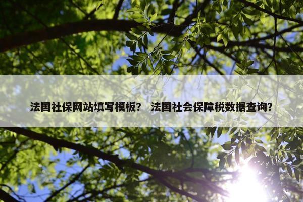 法国社保网站填写模板？ 法国社会保障税数据查询？