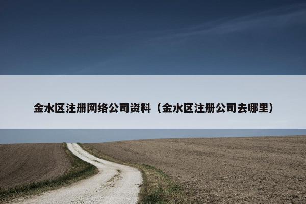 金水区注册网络公司资料（金水区注册公司去哪里）
