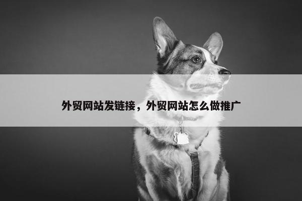 外贸网站发链接，外贸网站怎么做推广