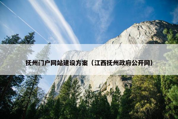 抚州门户网站建设方案（江西抚州政府公开网）