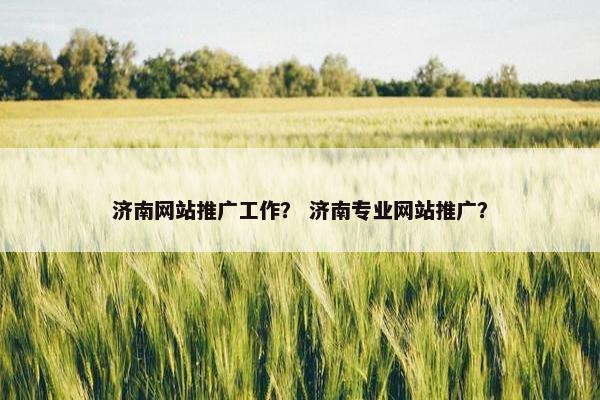 济南网站推广工作？ 济南专业网站推广？