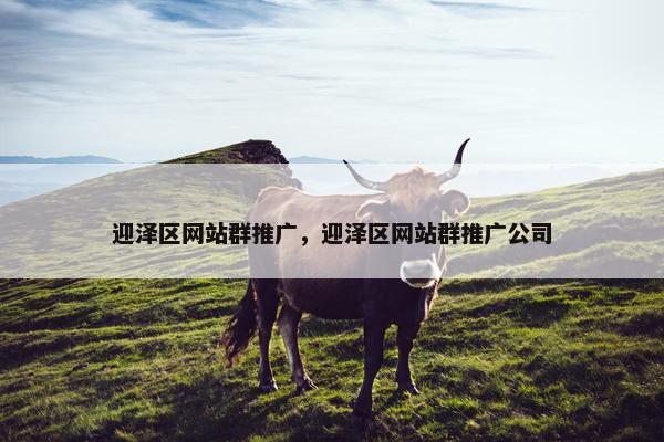 迎泽区网站群推广，迎泽区网站群推广公司