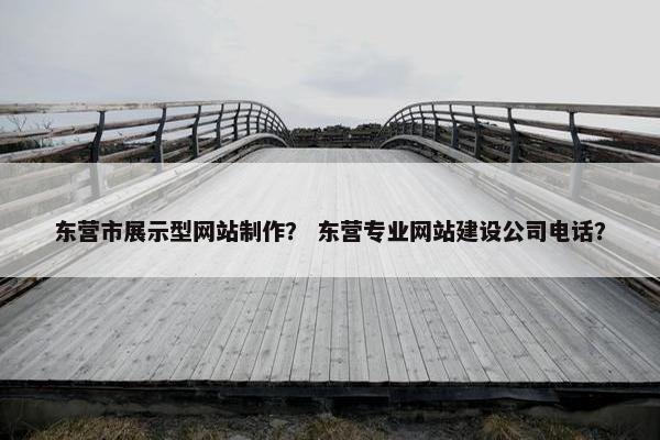 东营市展示型网站制作？ 东营专业网站建设公司电话？