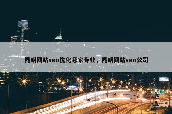 昆明网站seo优化哪家专业，昆明网站seo公司