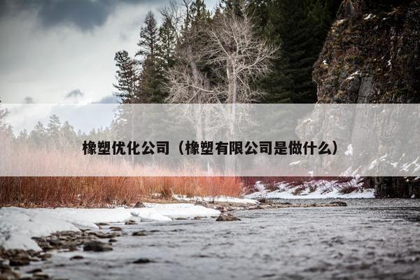 橡塑优化公司（橡塑有限公司是做什么）
