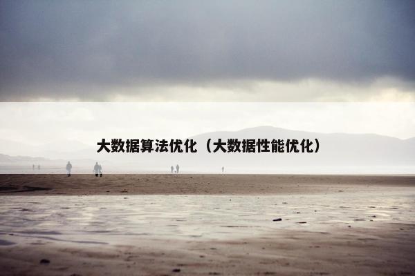 大数据算法优化（大数据性能优化）