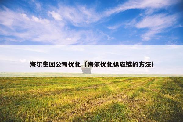 海尔集团公司优化（海尔优化供应链的方法）