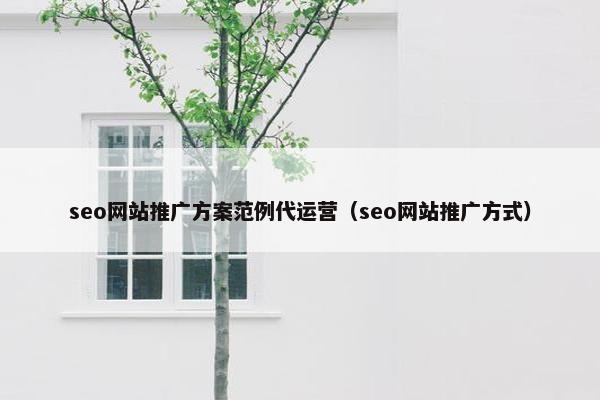 seo网站推广方案范例代运营（seo网站推广方式）