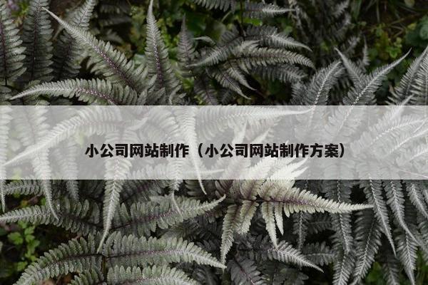 小公司网站制作（小公司网站制作方案）