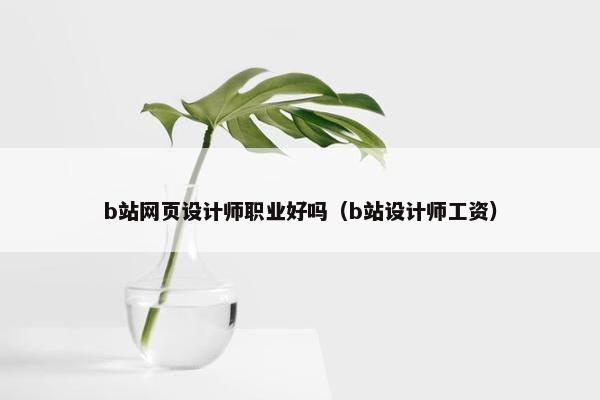 b站网页设计师职业好吗（b站设计师工资）