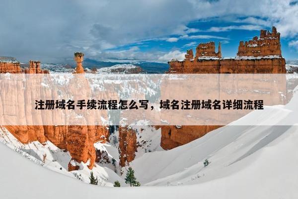 注册域名手续流程怎么写，域名注册域名详细流程