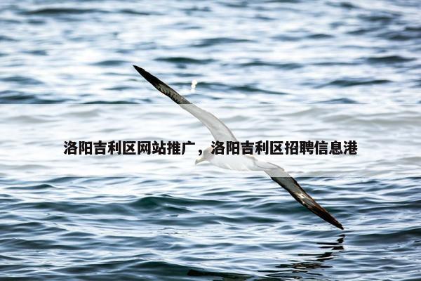 洛阳吉利区网站推广，洛阳吉利区招聘信息港