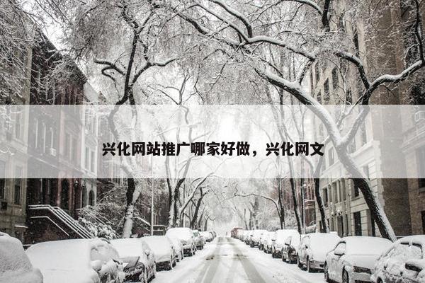 兴化网站推广哪家好做，兴化网文