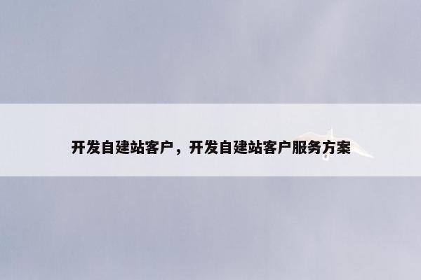 开发自建站客户，开发自建站客户服务方案