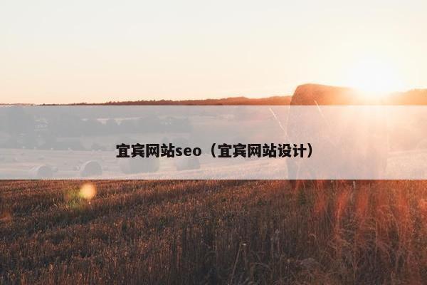 宜宾网站seo（宜宾网站设计）
