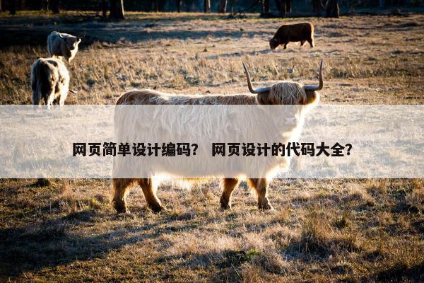 网页简单设计编码？ 网页设计的代码大全？