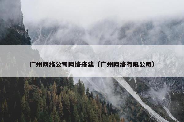 广州网络公司网络搭建（广州网络有限公司）