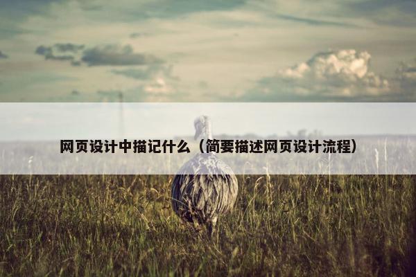 网页设计中描记什么（简要描述网页设计流程）