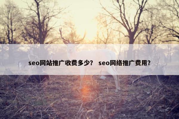 seo网站推广收费多少？ seo网络推广费用？