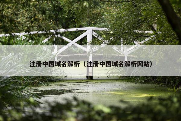 注册中国域名解析（注册中国域名解析网站）