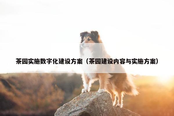 茶园实施数字化建设方案（茶园建设内容与实施方案）