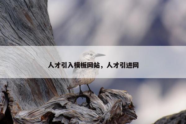 人才引入模板网站，人才引进网