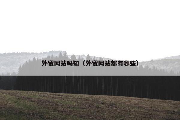 外贸网站吗知（外贸网站都有哪些）