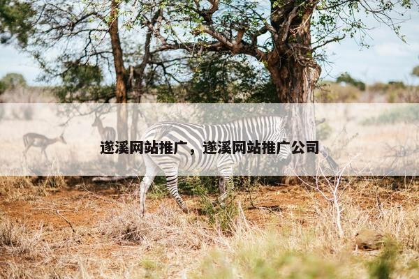 遂溪网站推广，遂溪网站推广公司