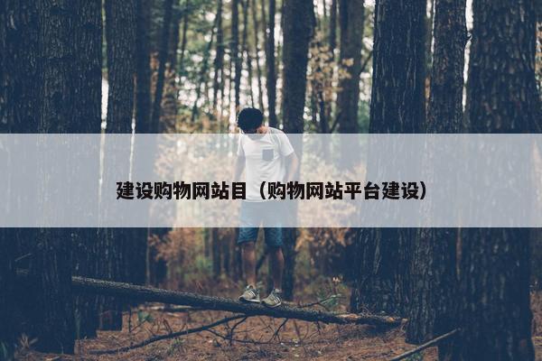 建设购物网站目（购物网站平台建设）