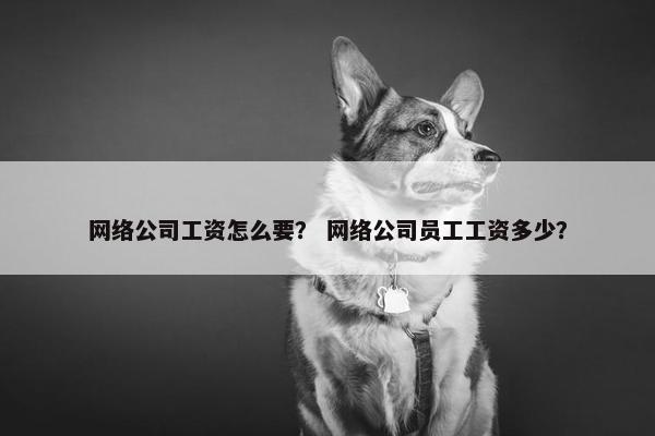 网络公司工资怎么要？ 网络公司员工工资多少？