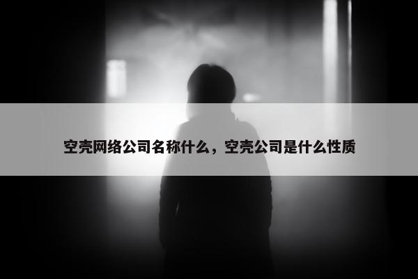 空壳网络公司名称什么，空壳公司是什么性质