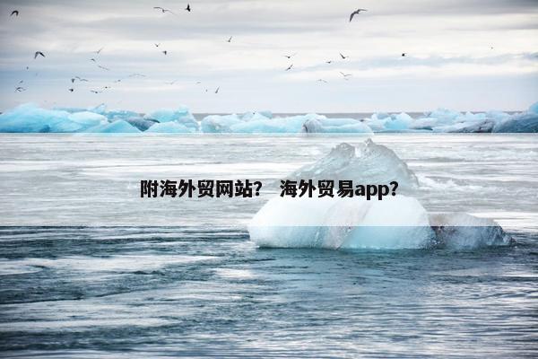 附海外贸网站？ 海外贸易app？
