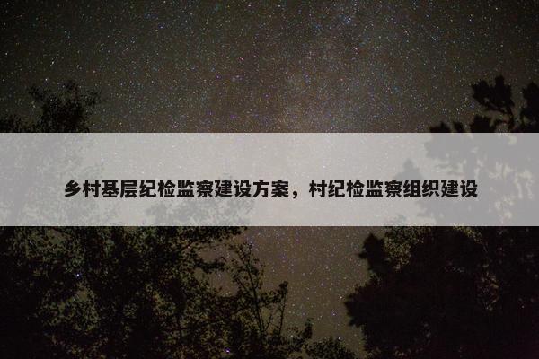 乡村基层纪检监察建设方案，村纪检监察组织建设