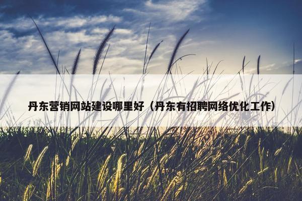 丹东营销网站建设哪里好（丹东有招聘网络优化工作）