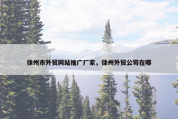 徐州市外贸网站推广厂家，徐州外贸公司在哪