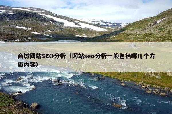 商城网站SEO分析（网站seo分析一般包括哪几个方面内容）