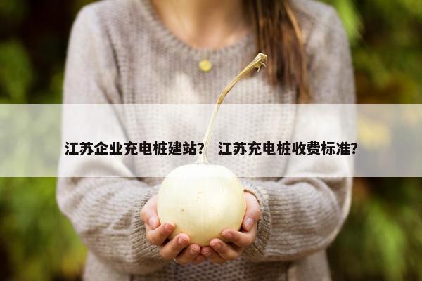 江苏企业充电桩建站？ 江苏充电桩收费标准？