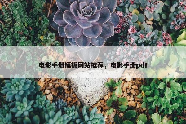 电影手册模板网站推荐，电影手册pdf