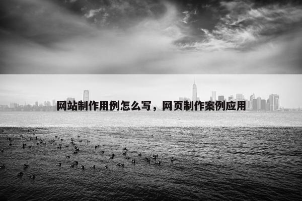 网站制作用例怎么写，网页制作案例应用