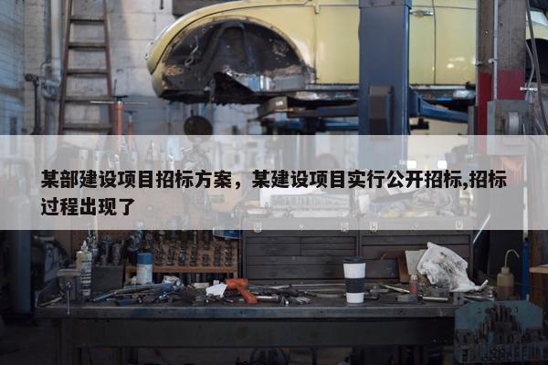 某部建设项目招标方案，某建设项目实行公开招标,招标过程出现了