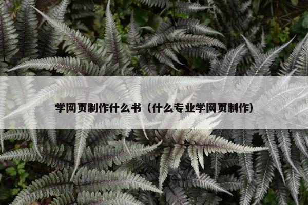 学网页制作什么书（什么专业学网页制作）
