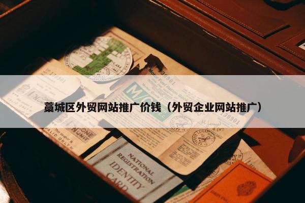 藁城区外贸网站推广价钱（外贸企业网站推广）