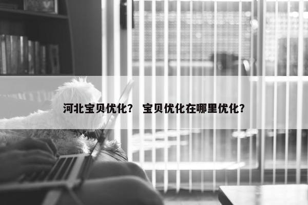 河北宝贝优化？ 宝贝优化在哪里优化？