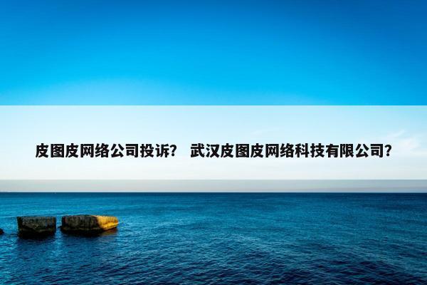 皮图皮网络公司投诉？ 武汉皮图皮网络科技有限公司？