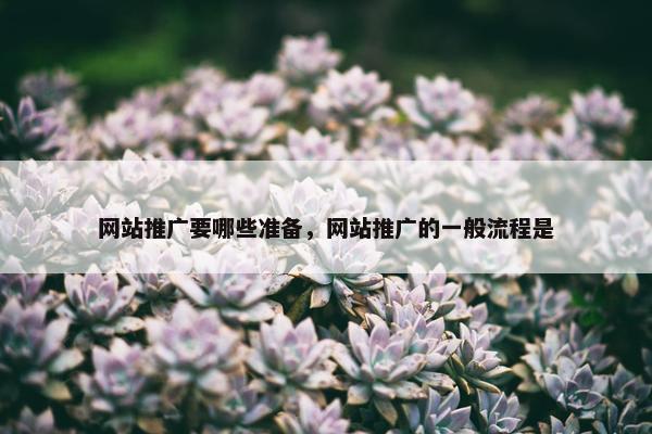 网站推广要哪些准备，网站推广的一般流程是