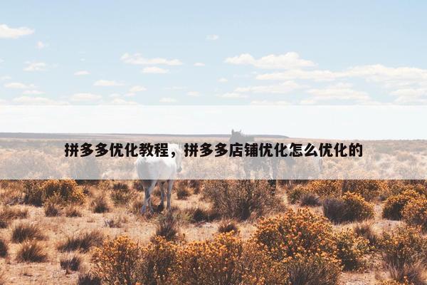 拼多多优化教程，拼多多店铺优化怎么优化的
