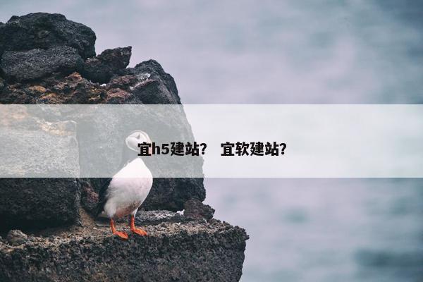 宜h5建站？ 宜软建站？