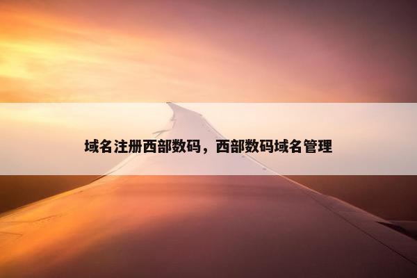 域名注册西部数码，西部数码域名管理