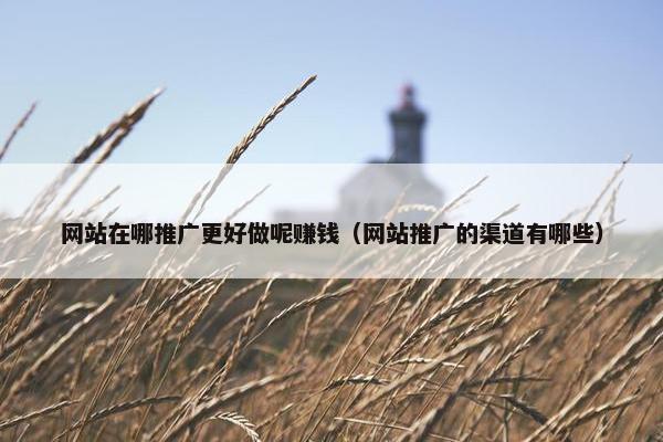 网站在哪推广更好做呢赚钱（网站推广的渠道有哪些）