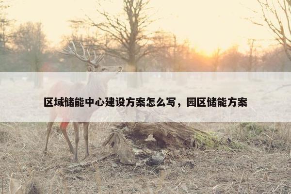 区域储能中心建设方案怎么写，园区储能方案